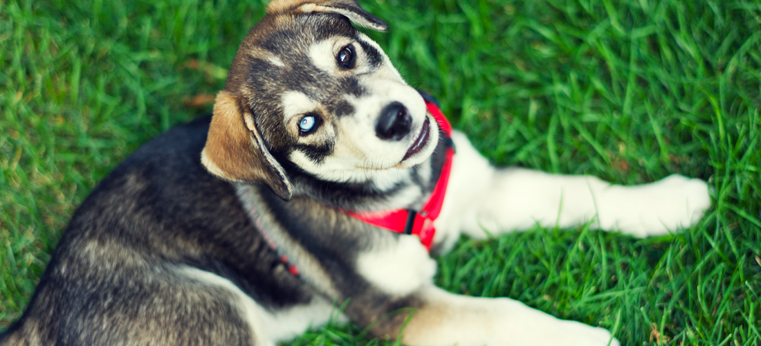 短信轰在线网页版入口