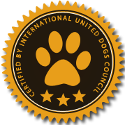 电话轰炸机网页版